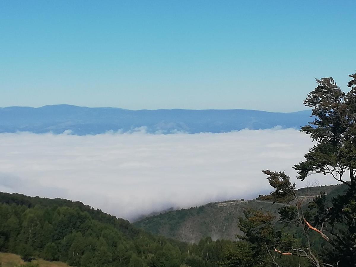 Apartman Adelfes P16, Milmari Resort Kopaonik Buitenkant foto